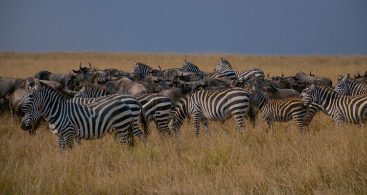 Serengeti National Park