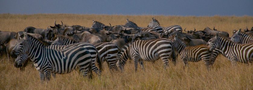 Serengeti National Park