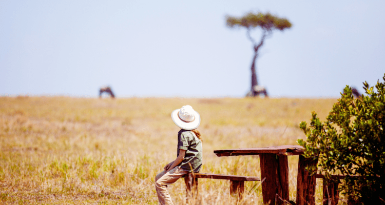 A scenic view of a mountain gorilla in the Bwindi Impenetrable Forest and a safari vehicle on the savanna in Murchison Falls National Park, Uganda.