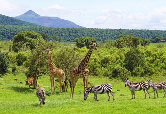 Arusha National Park