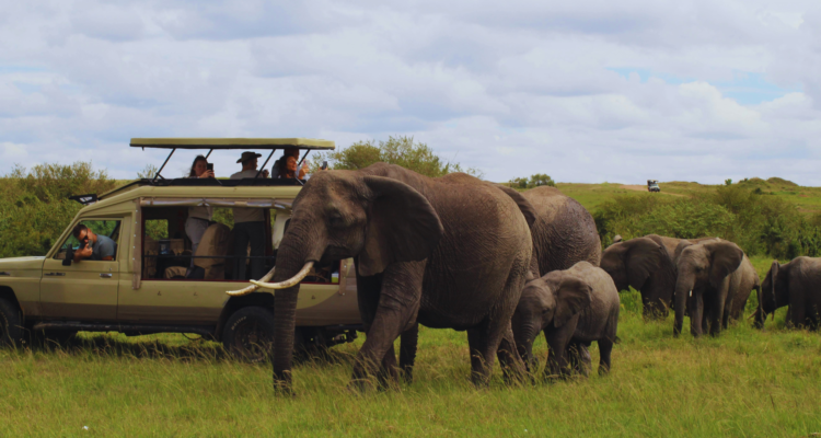 Uganda Safari Packages