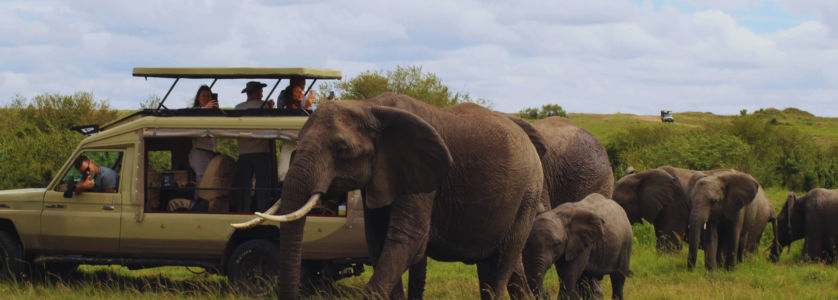 Uganda Safari Packages